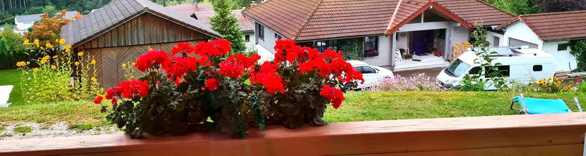 Haus Löger Apartment